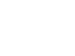 pearl-ai-logo_white